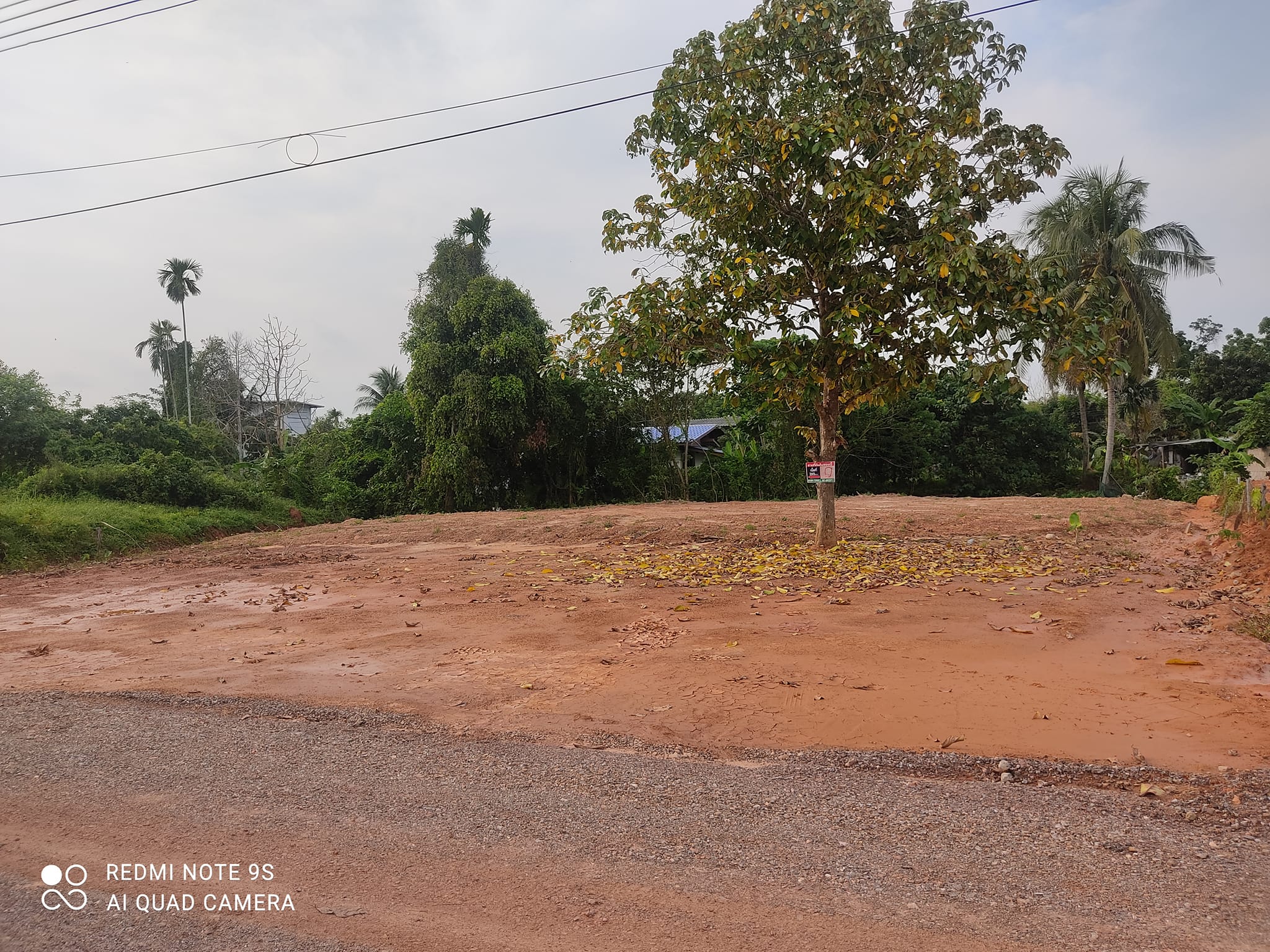 ที่ดินสวย ใจกลางเมืองชุมพร อ.เมืองชุมพร จ.ชุมพร 0-2-67