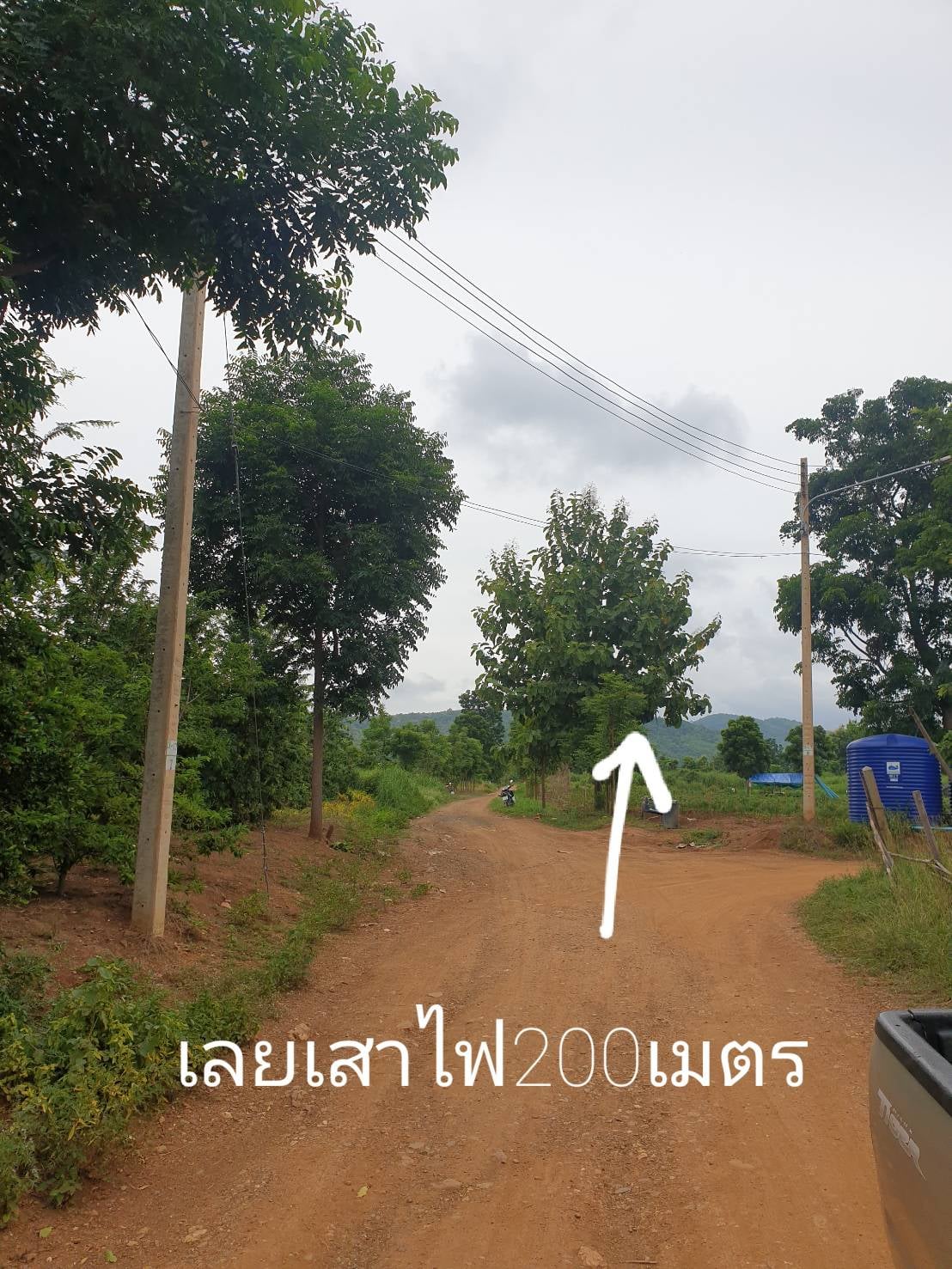 ที่ดินสวน เมืองเพชรบูรณ์ 6-0-0 ไร่