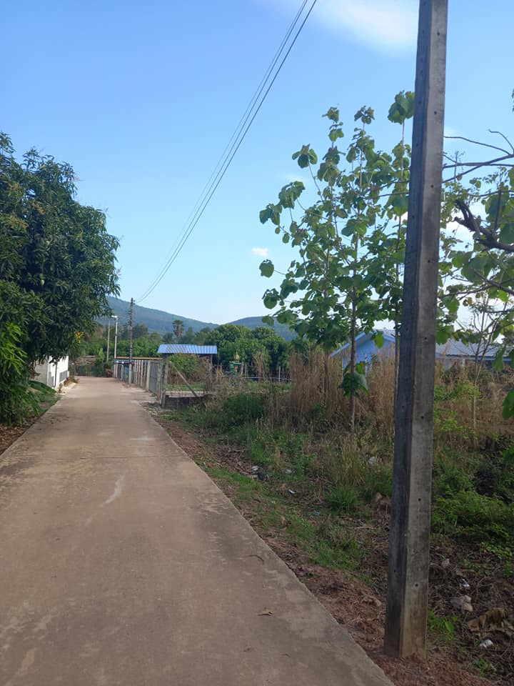 ขายที่ดินพิษณุโลก เมืองพิษณุโลก 2ไร่