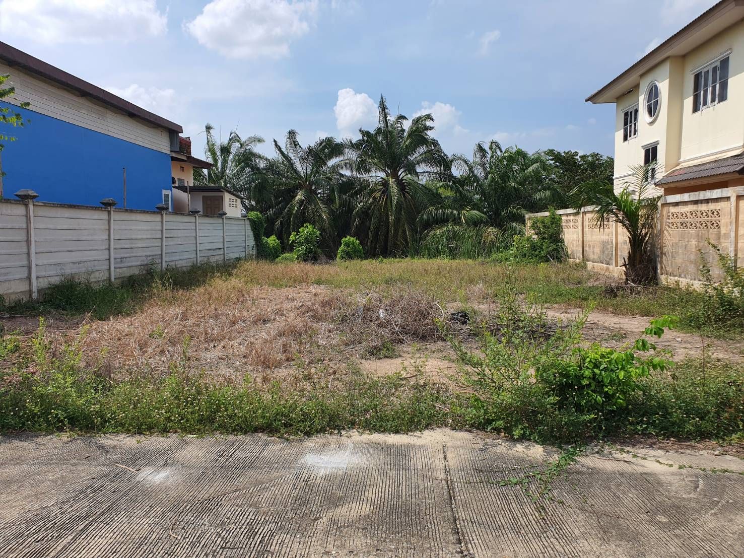 ขายที่ดินสวยถมแล้ว 78 ตรว.ราคาพิเศษฟรีโอน อยู่ในหมู่บ้านสวนเอก ติดถนนใหญ่เดินทางสะดวก