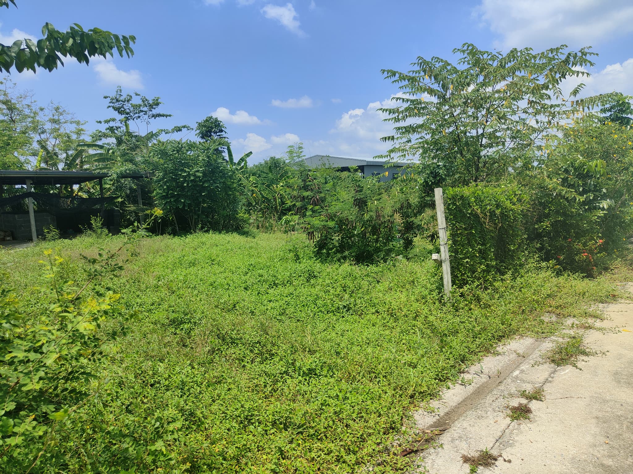 ขายที่ดินพร้อมสิ่งปลูกสร้าง ด้านในมีบ่อน้ำขนาดเล็ก 200 ตร.ว. อ.ลำลูกกา จ.ปทุมธานี