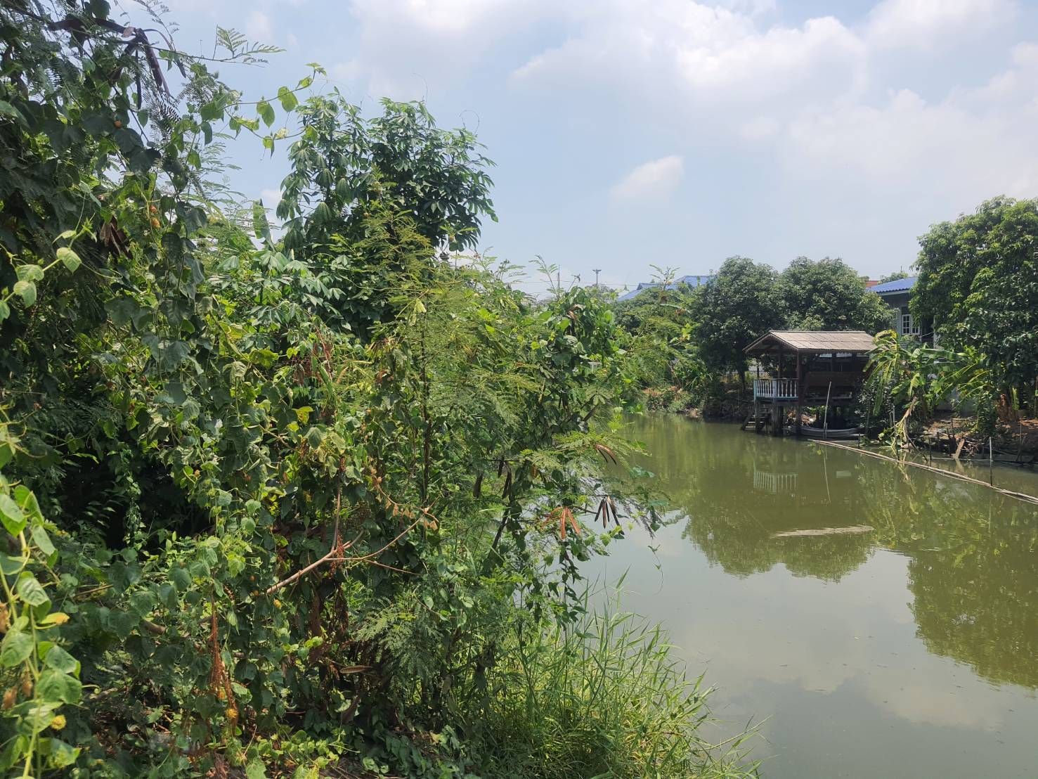 ขายที่ดินใกล้ตัวเมืองปทุมธานี