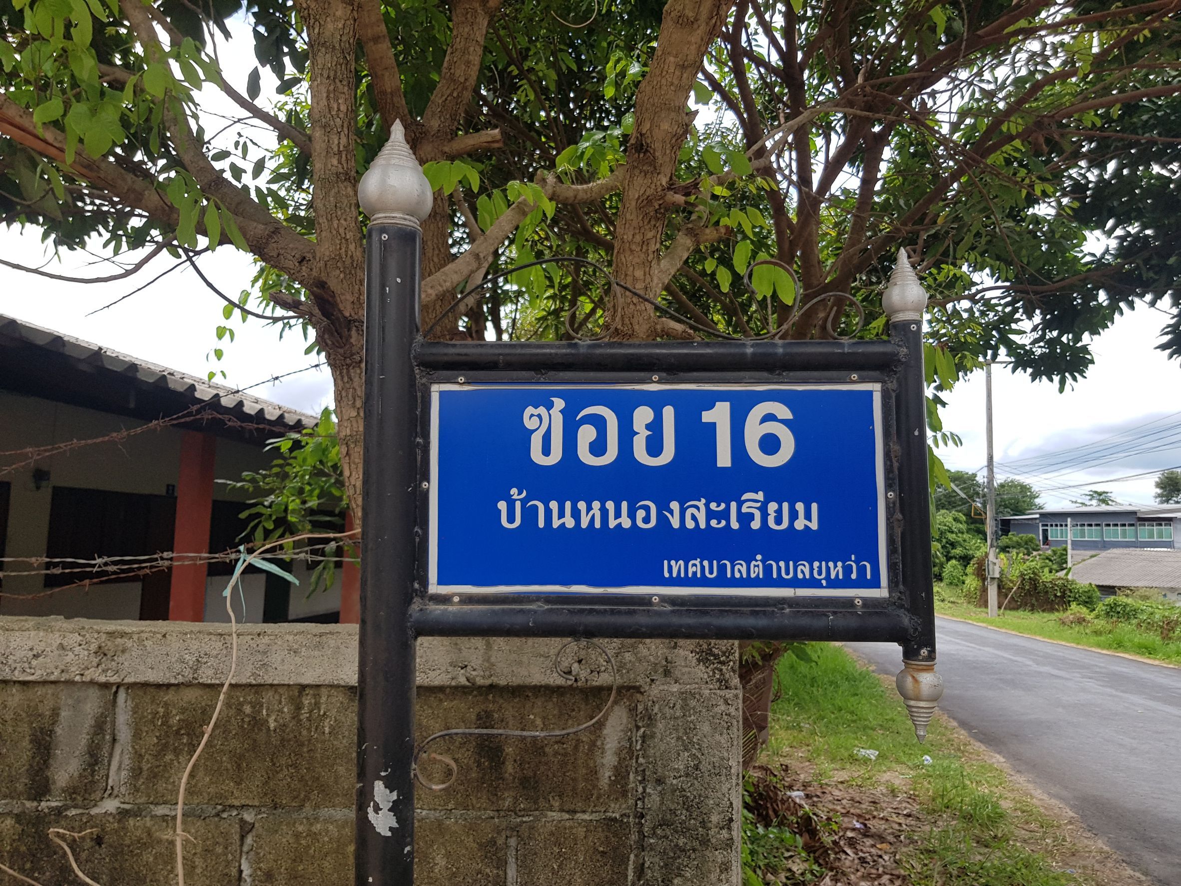 ขายที่ดินเชียงใหม่สันป่าตอง 220 ตารางวา เจ้าของขายเอง