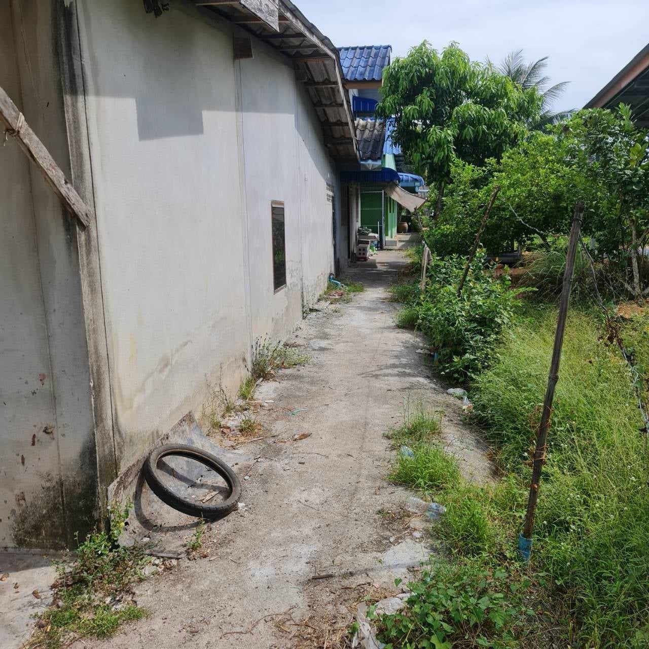 ขายบ้านพัทลุง บ้านพร้อมที่ดิน ทำเลสวย ในเขตชุมชน ขายถูกมาก !