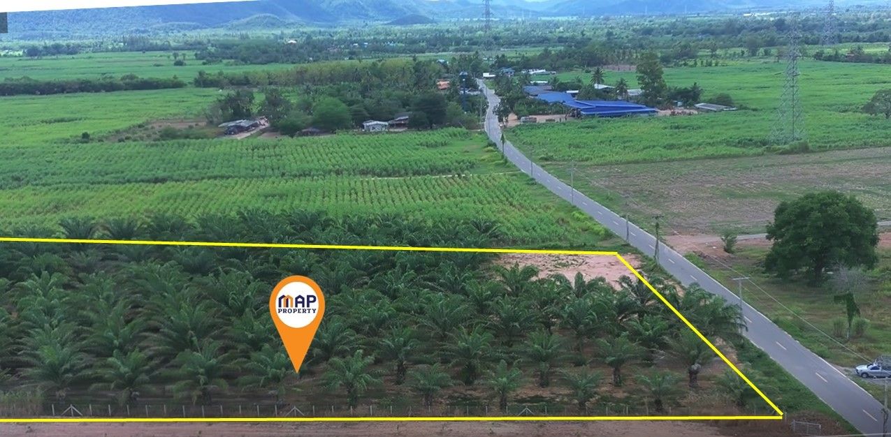 ที่ดิน สวนปาล์ม ทุ่งจับญวณ ชะอำ, เพชรบุรี 17 ไร่