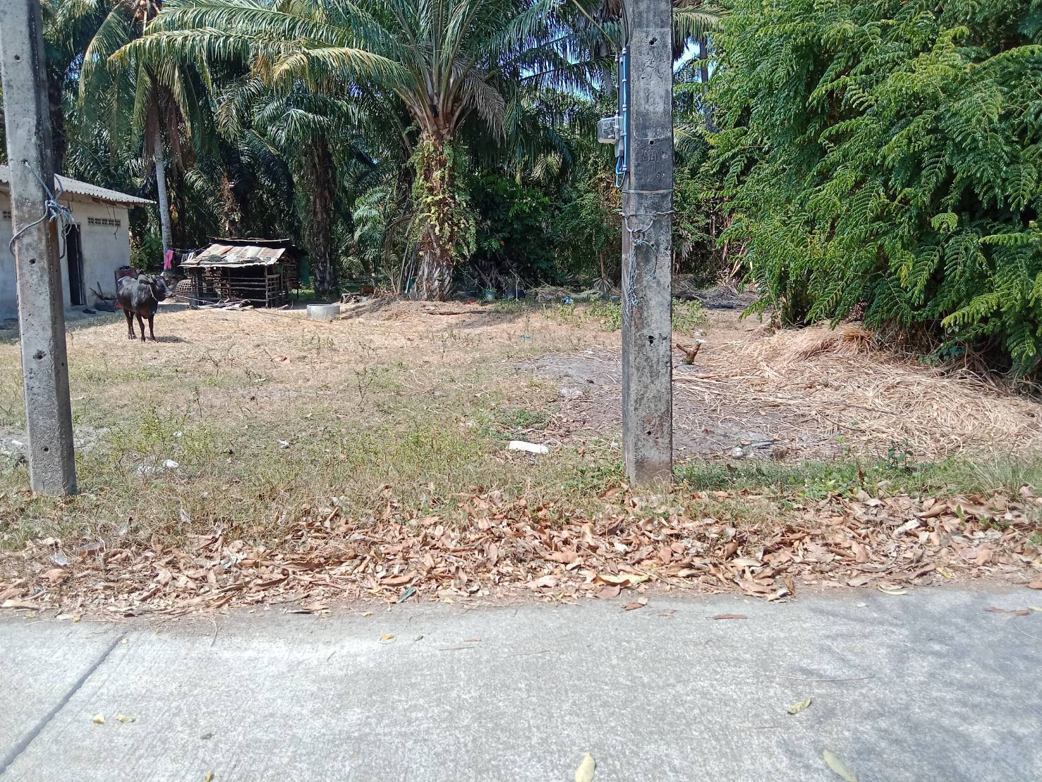ที่ดินเเบ่งขาย อ.เหนือคลอง 25ตรว.