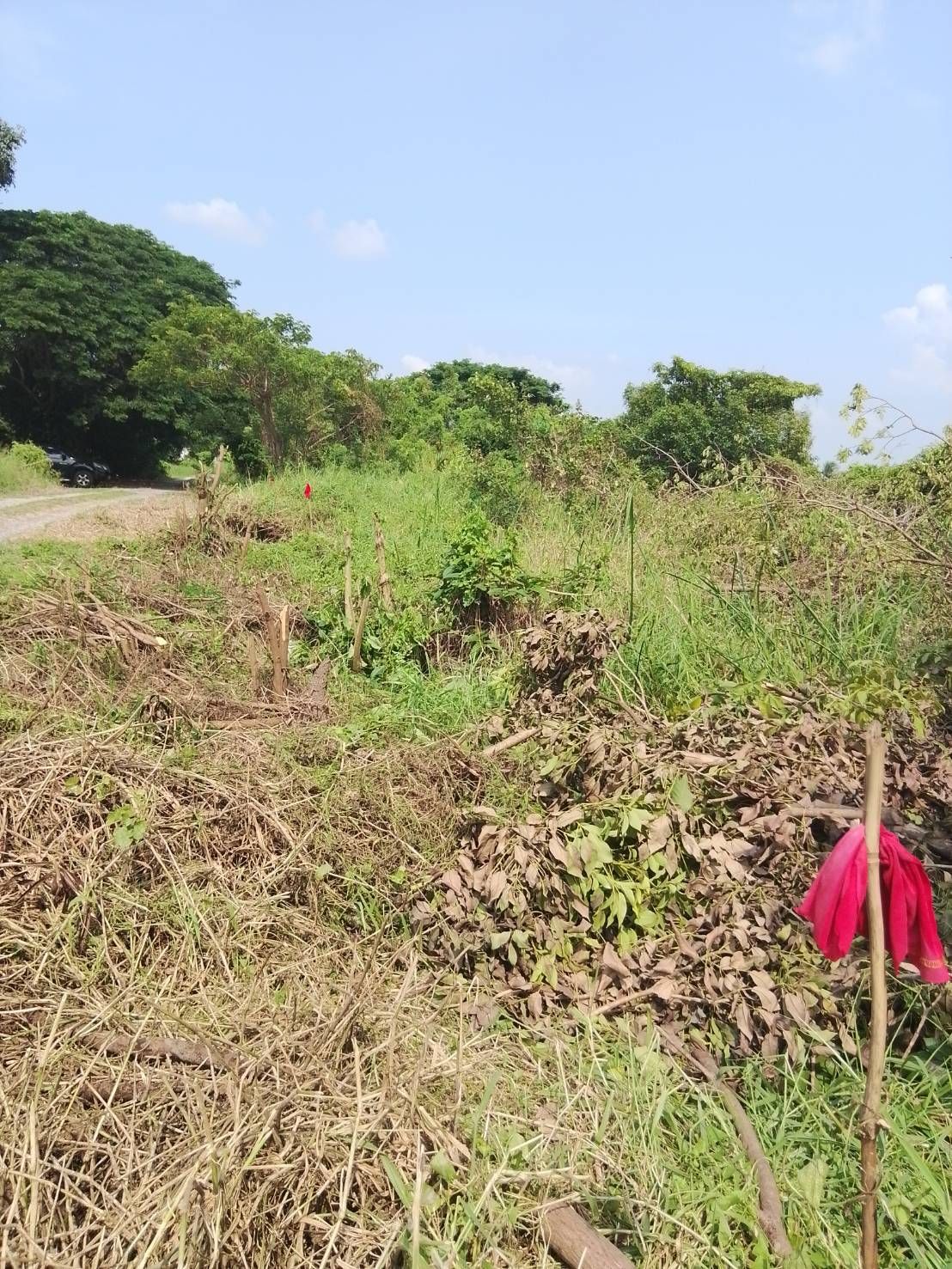 ขายที่ดินปทุมฯ สามโคก ที่ดิน 2 โฉนดติดกัน