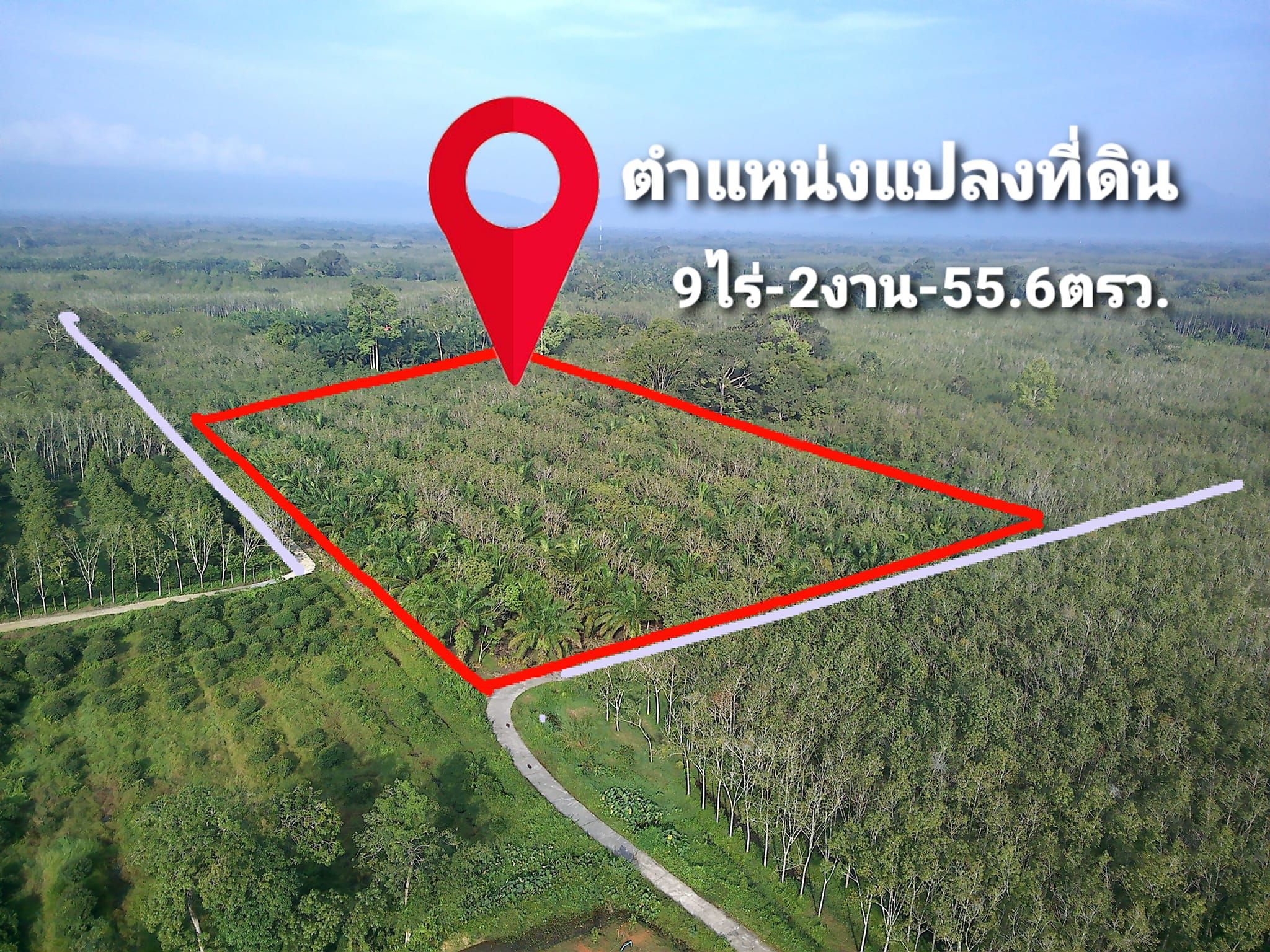 ขายที่ดินนครศรีธรรมราช ที่ดินเปล่า แปลงสวยบรรยากาศดี น่าลงทุน ท่าศาลา นครศรีฯ 9-2-55