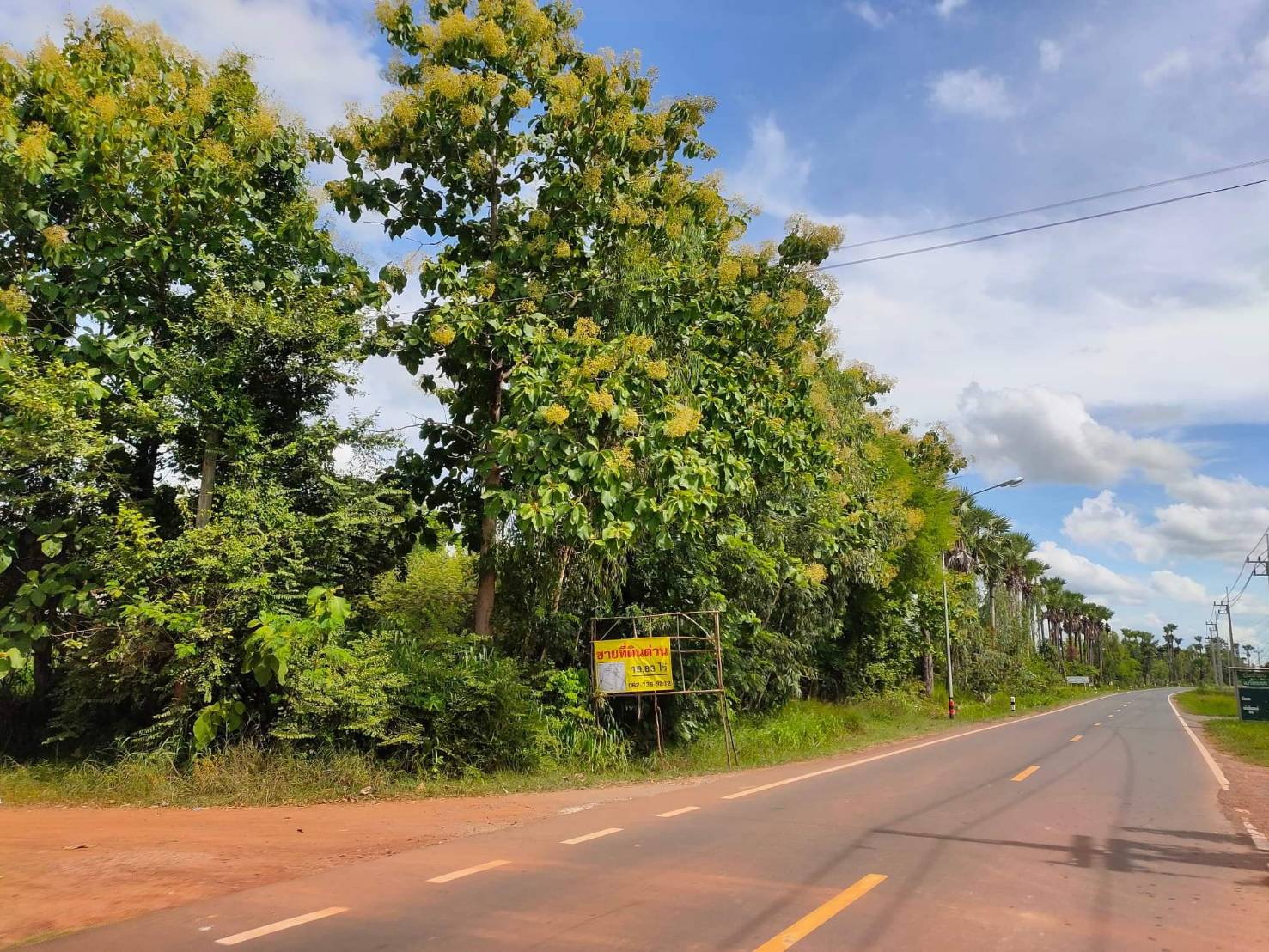 ขายที่ดินพร้อมบ้าน ไทยเจริญ ยโสธร 19-0-83