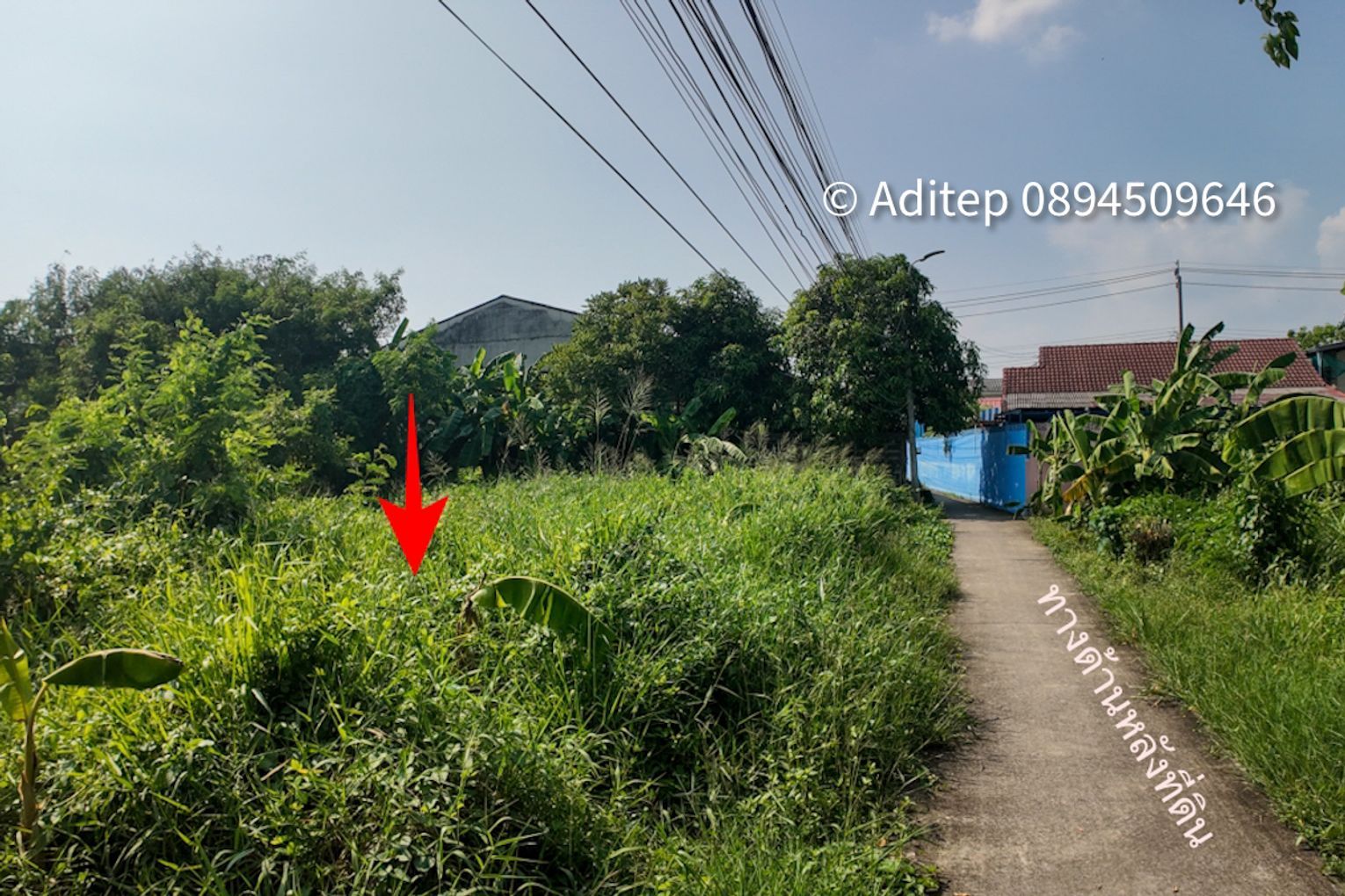 ขายที่ดิน บางใหญ่ 1 ไร่ 331 ตรว. ใกล้ถนนกาญจนาภิเษก เข้าซอยวัดปรางค์หลวง 800 ม. ที่ดินเปล่าถมแล้ว ติดถนนคอนกรีต