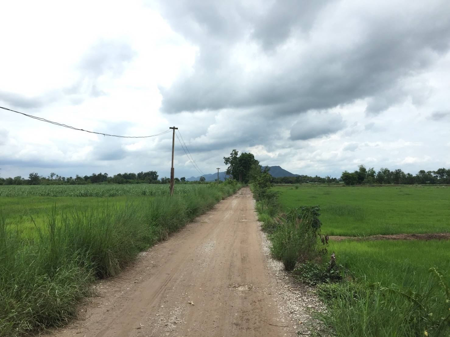 ที่ดินเปล่า เพชรบูรณ์ 48-1-59
