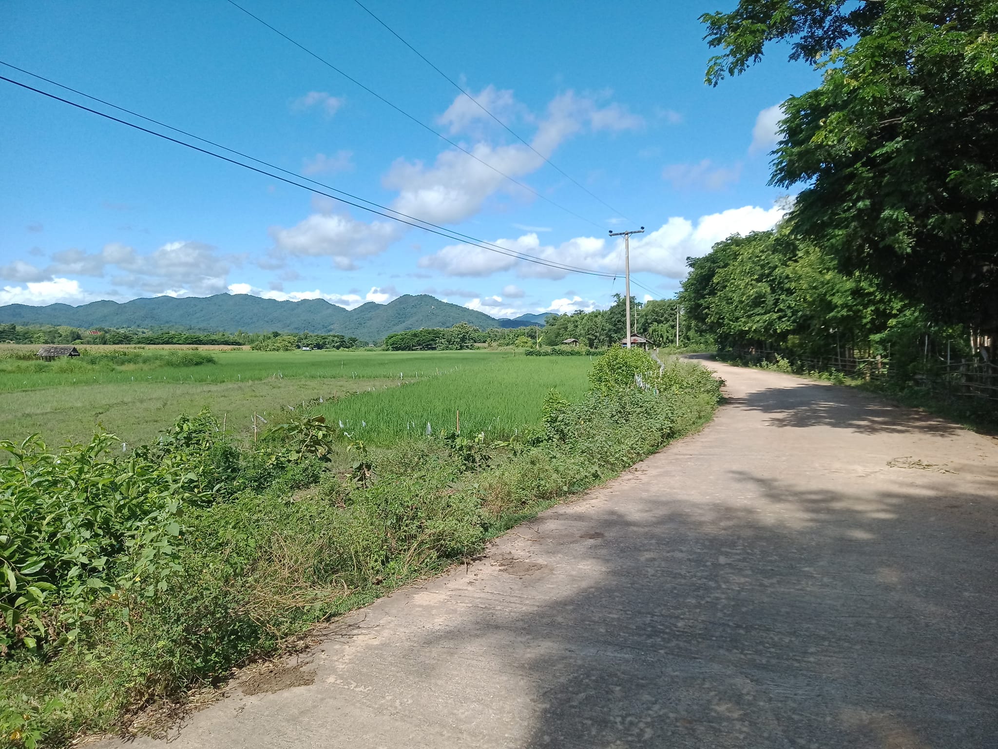 ขายที่ดินลำปาง แม่ทะ 4-3-30