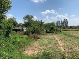ที่ดินเปล่า บ้านฝาง ขอนแก่น 2-2-59.6