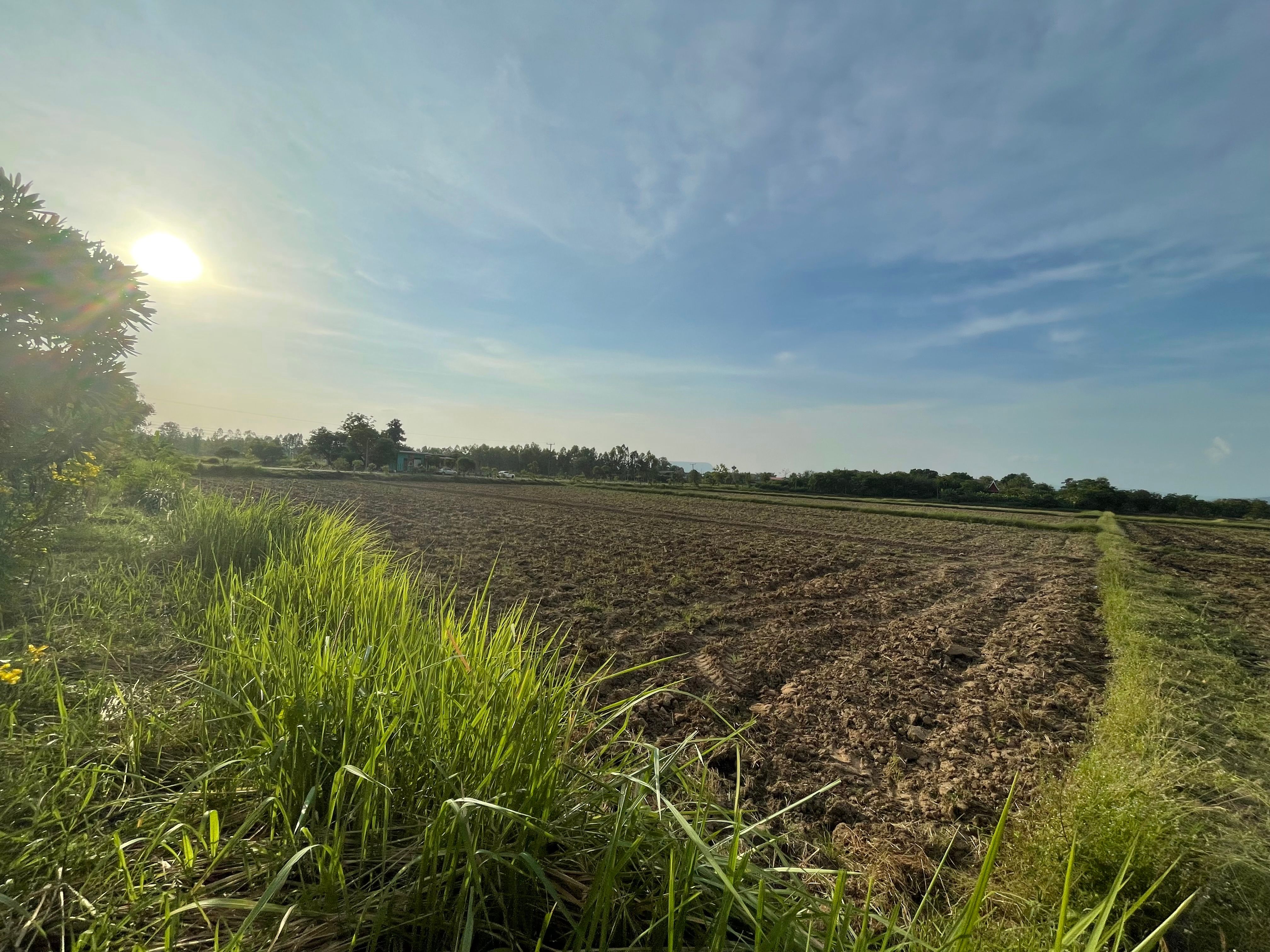 ขายที่ดิน จังหวัดพิษณุโลก เนินมะปราง