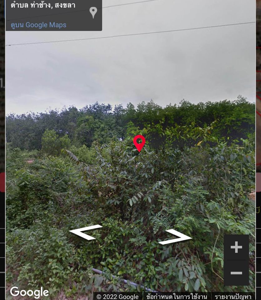 ที่ดินสวนยางคลองนกทุง บางกล่ำ สงขลา 7-1-50.5