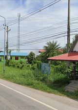 ที่ดินเปล่าฉะเชิงเทรา จ.ฉะเชิงเทรา อ.บางน้ำเปรี้ยว 259 ตร.ว.