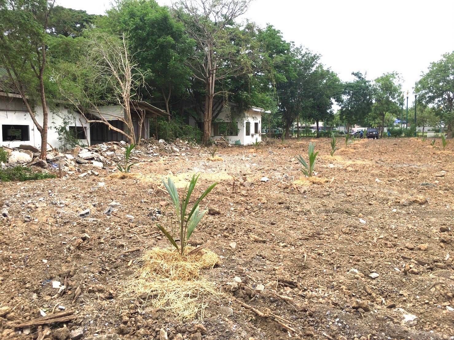 ที่ดินสวยติดหน้าถนนอักษะ 1 ไร่ ใกล้บ้านน้ำเคียงดิน กทม 
