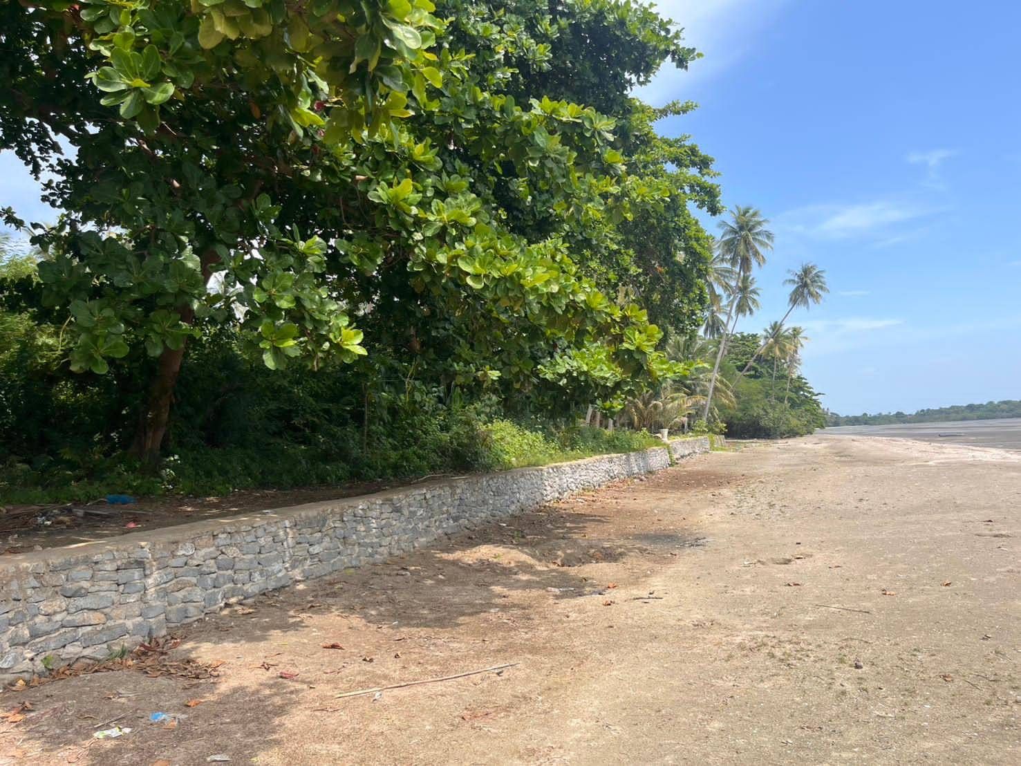 ที่ดินติดทะเล ด้านหลังติดถนนคอนกรีต ทิวทัศน์มองเห็นเกาะแรด