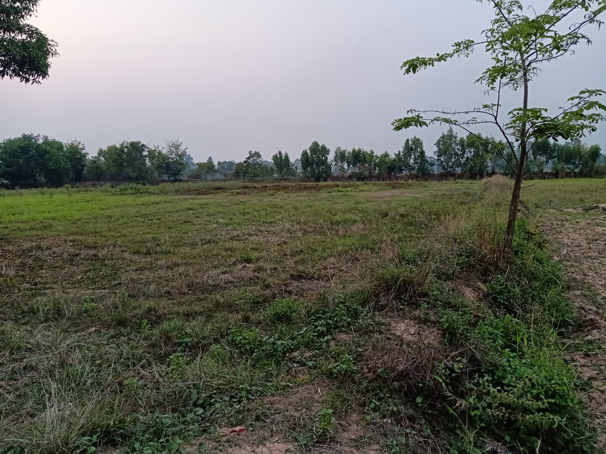 ขายที่นา อ.ธวัชบุรี จ.ร้อยเอ็ด 8-1-23