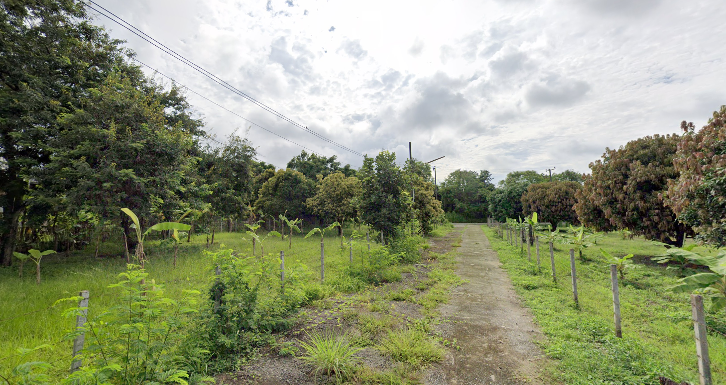 ขายที่ดินเชียงใหม่ สันกำแพง 270 ตร.ว.