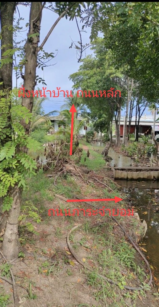 ที่ดินใกล้ทางด่วน 