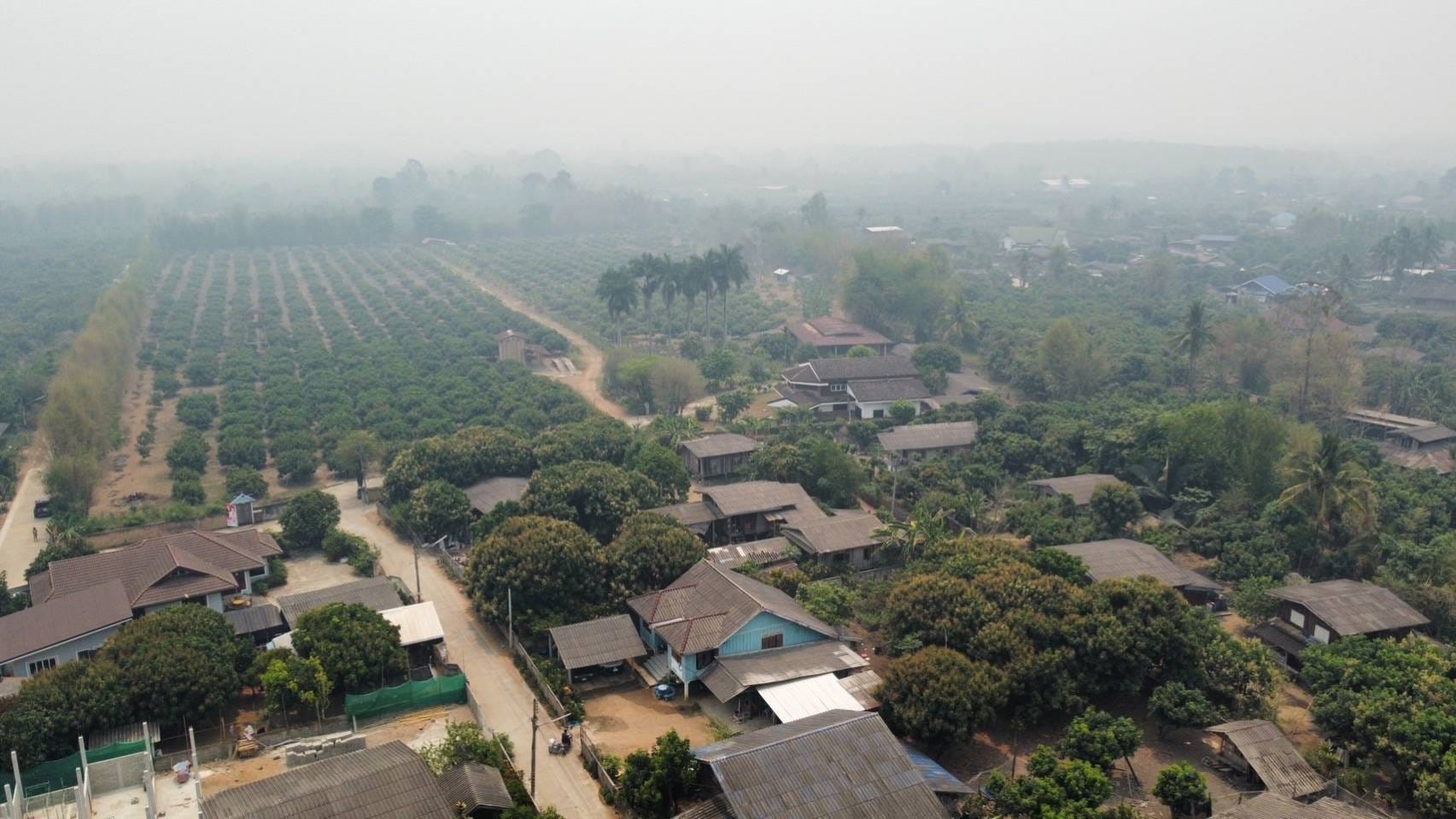 บ้านพร้อมสวน​ลำไย​