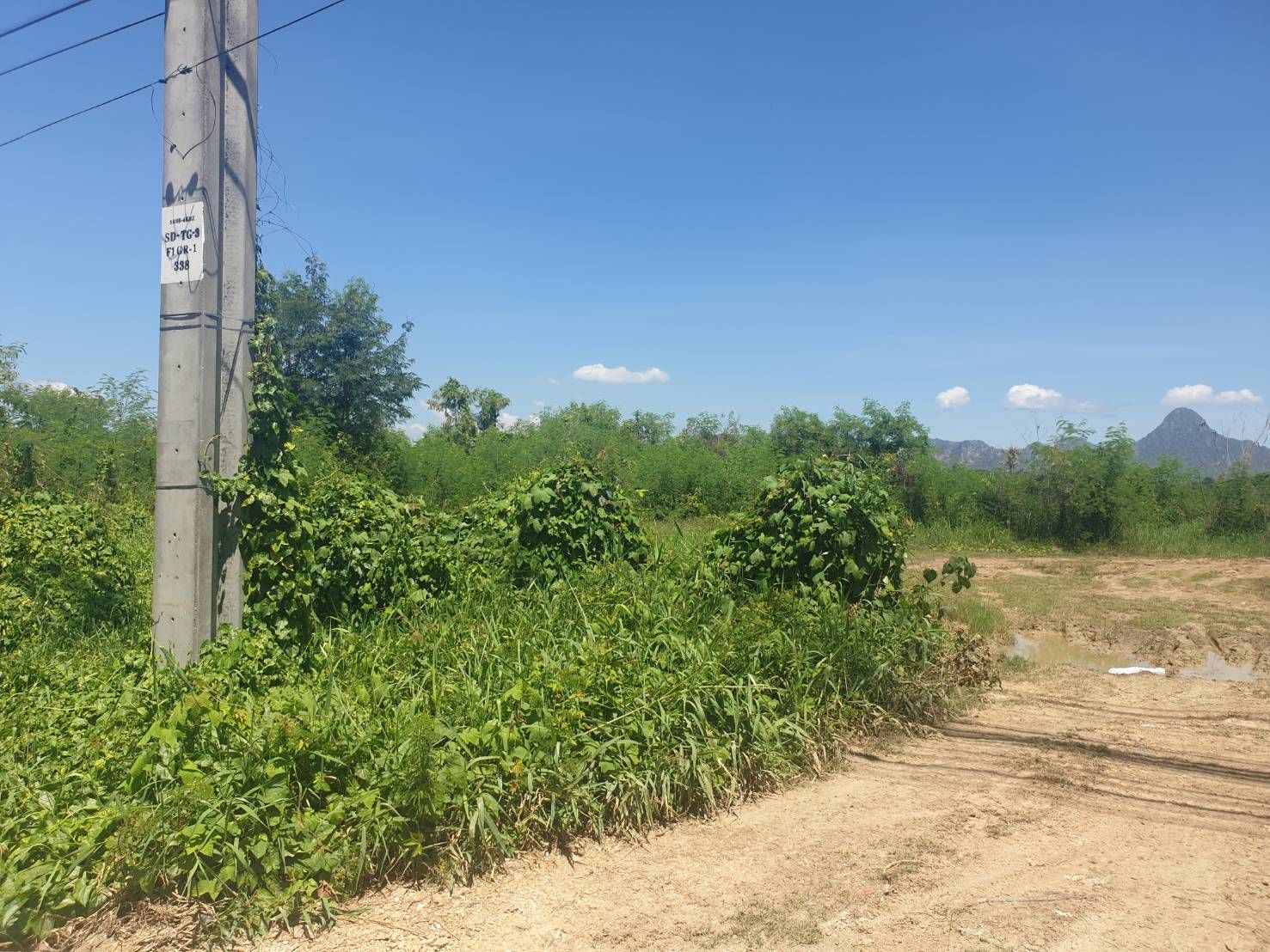 ที่ดิน 115 ไร่ ติดถนนใหญ่ ราคาถูก