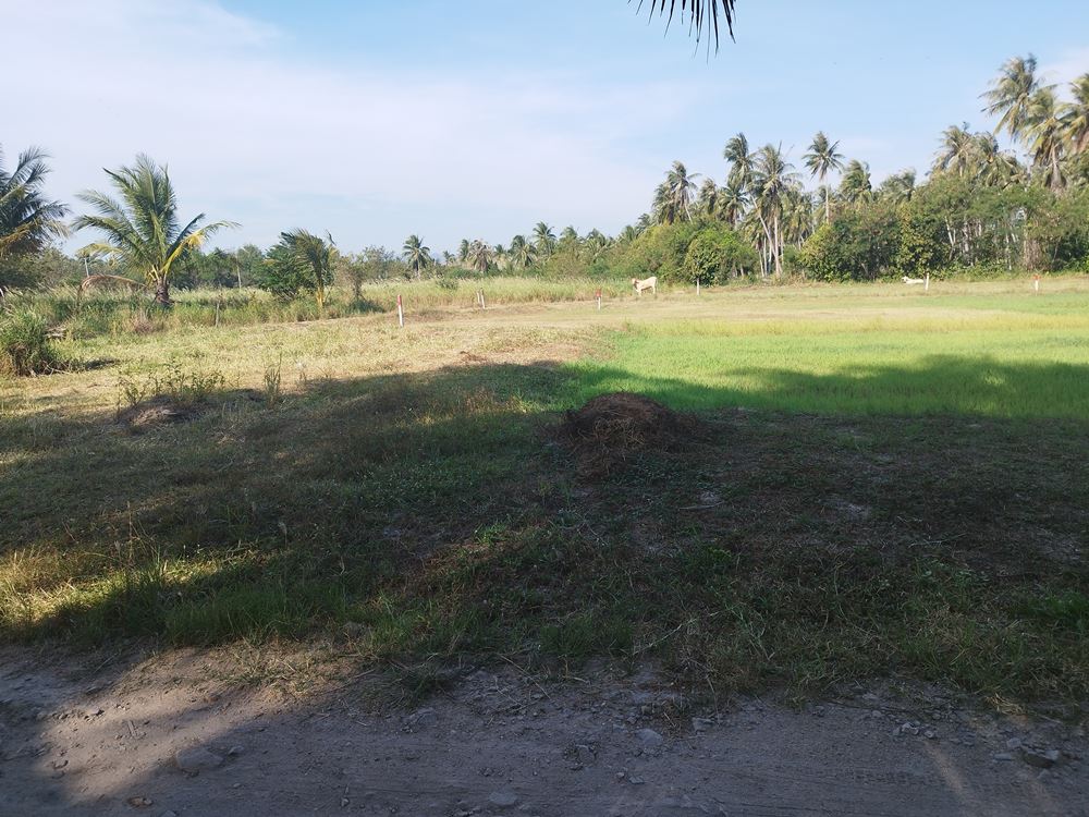ขายที่ดินเปล่า ใกล้เมืองประจวบฯ เนื้อที่ 200 ตร.ว.