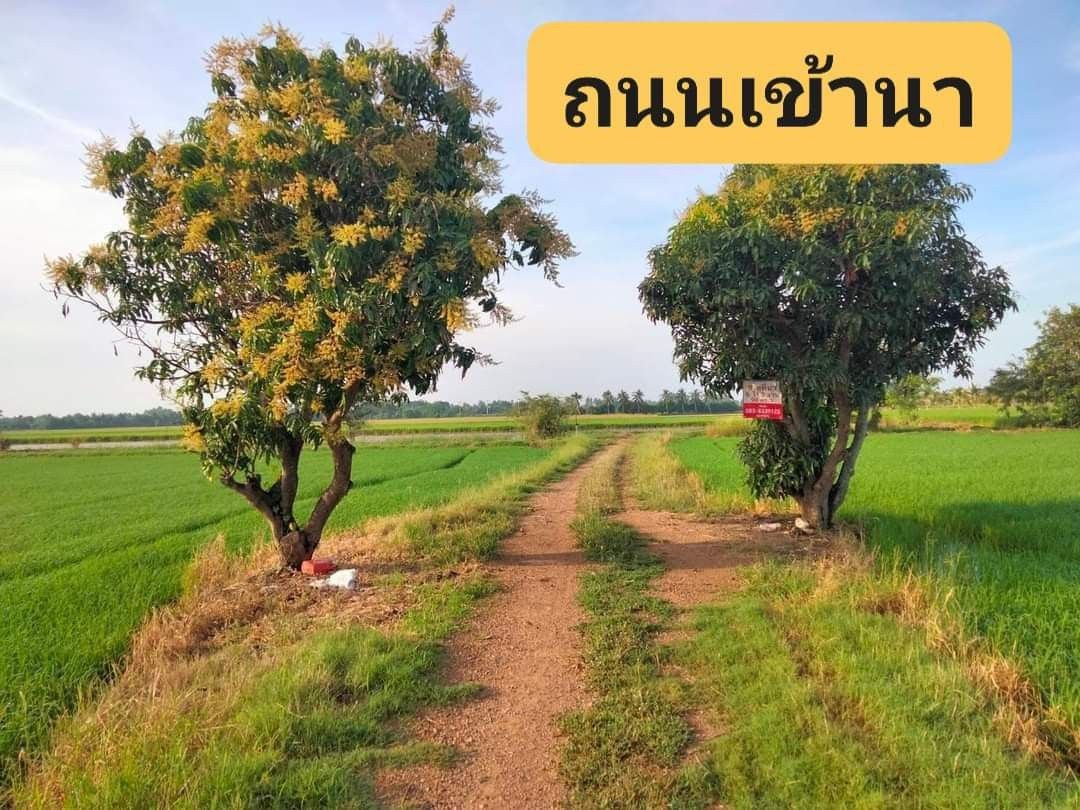 ขายที่นา มีเหมืองส่งน้ำ เจาะบาดานให้แล้ว