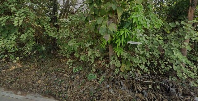 ขายที่ดินแปลงใหญ่ 6 ไร่ ปงแสนทอง ใกล้เมืองลำปาง เหมาะทำเกษตร-โกดัง