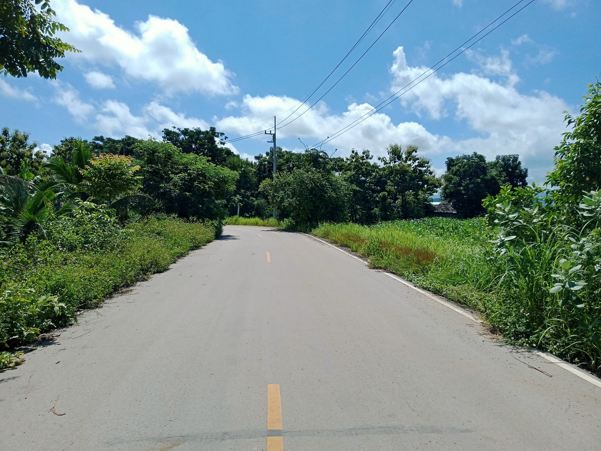 ขายที่ดินลำปาง แม่ทะ 2-3-23