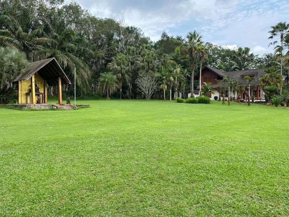 ขายด่วนรีสอร์ทส่วนตัว บรรยากาศดี มีต้นไม้ให้ผลผลิตในพื้นที่ ลงทุนต่อยอดได้ 
