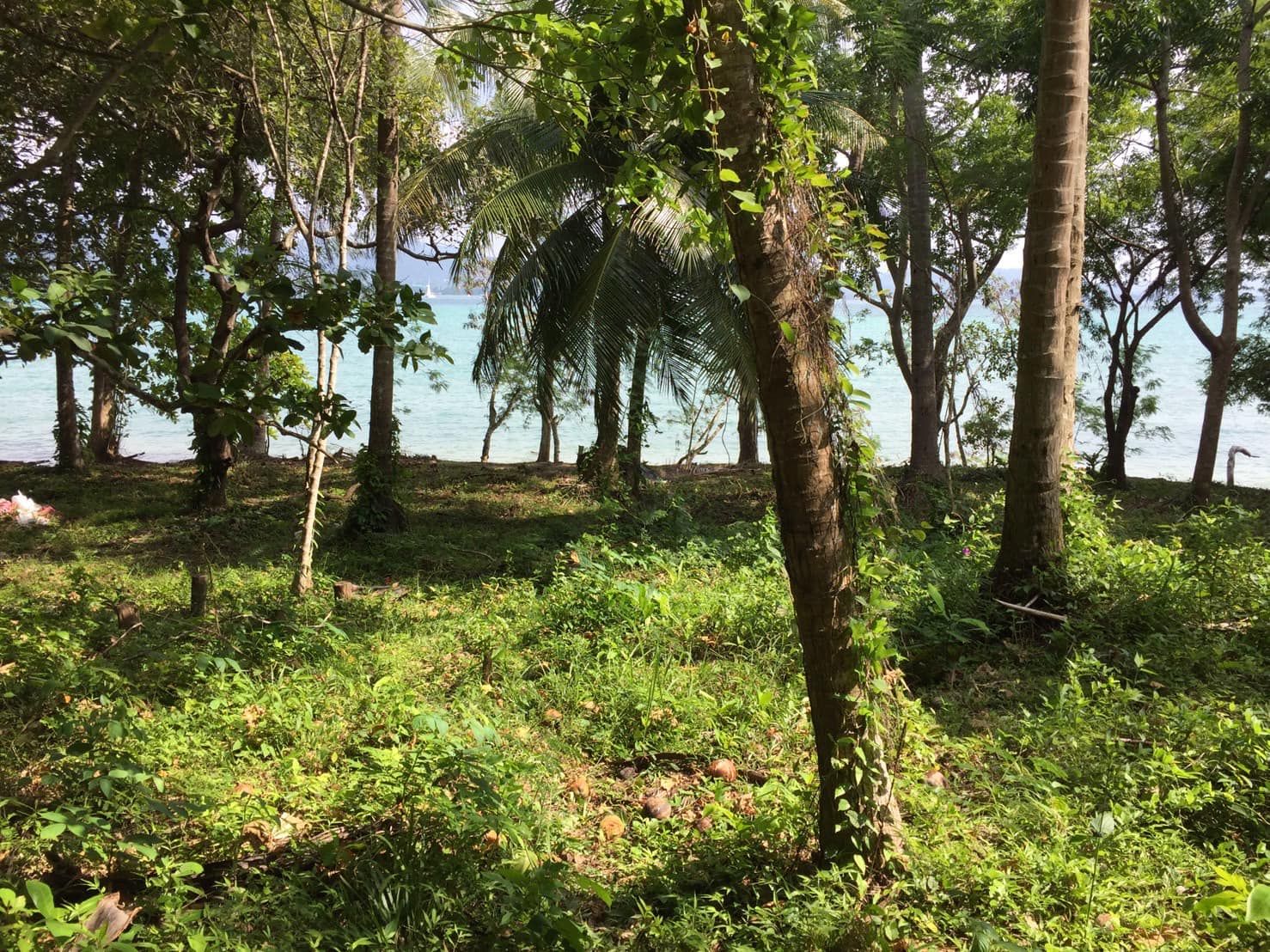 🔹  BEACHFRONT LAND FOR SALE – LON ISLAND, PHUKET 🔹