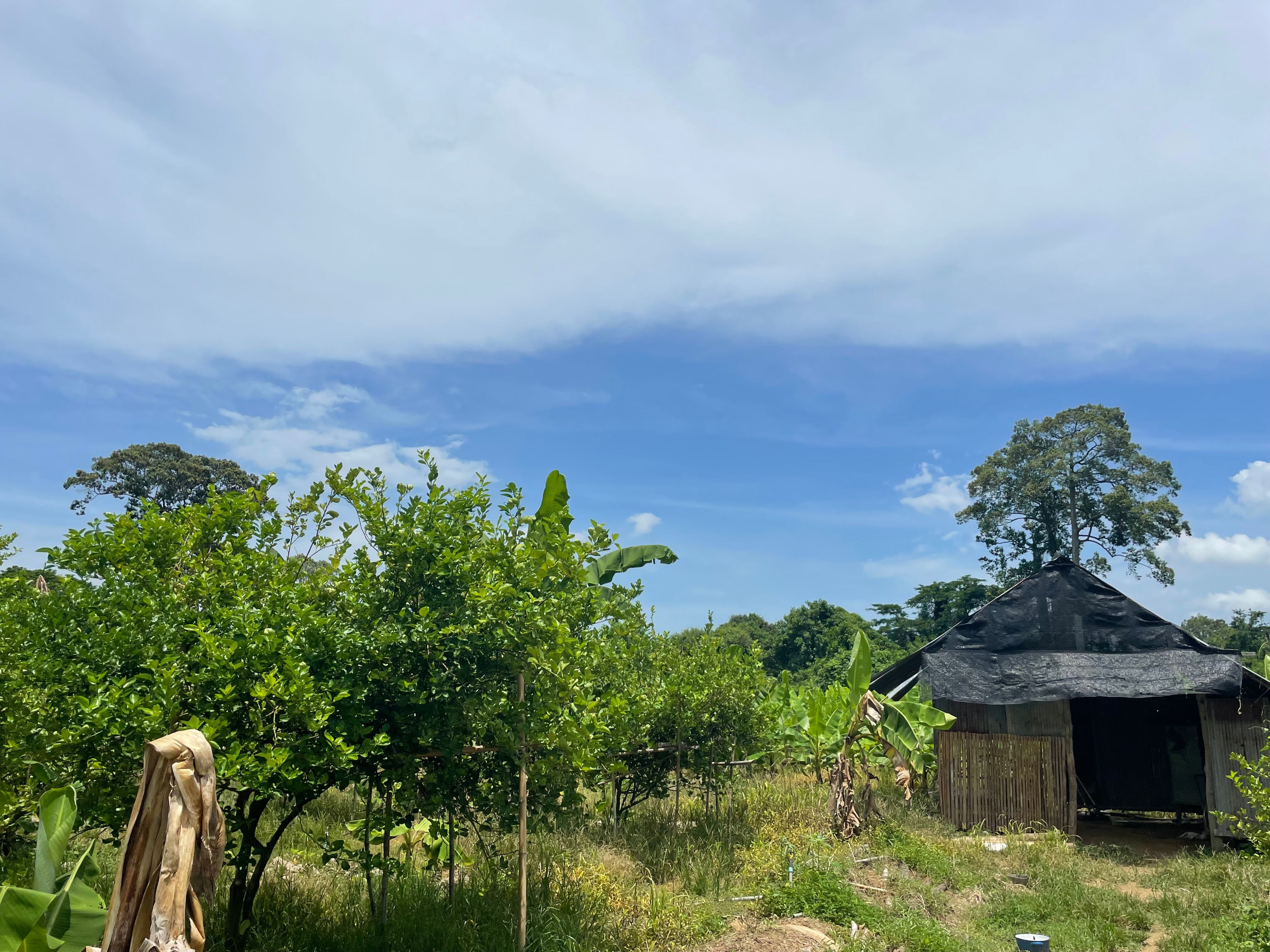 ขายที่ดินติดริมแม่น้ำเพชรบุรี