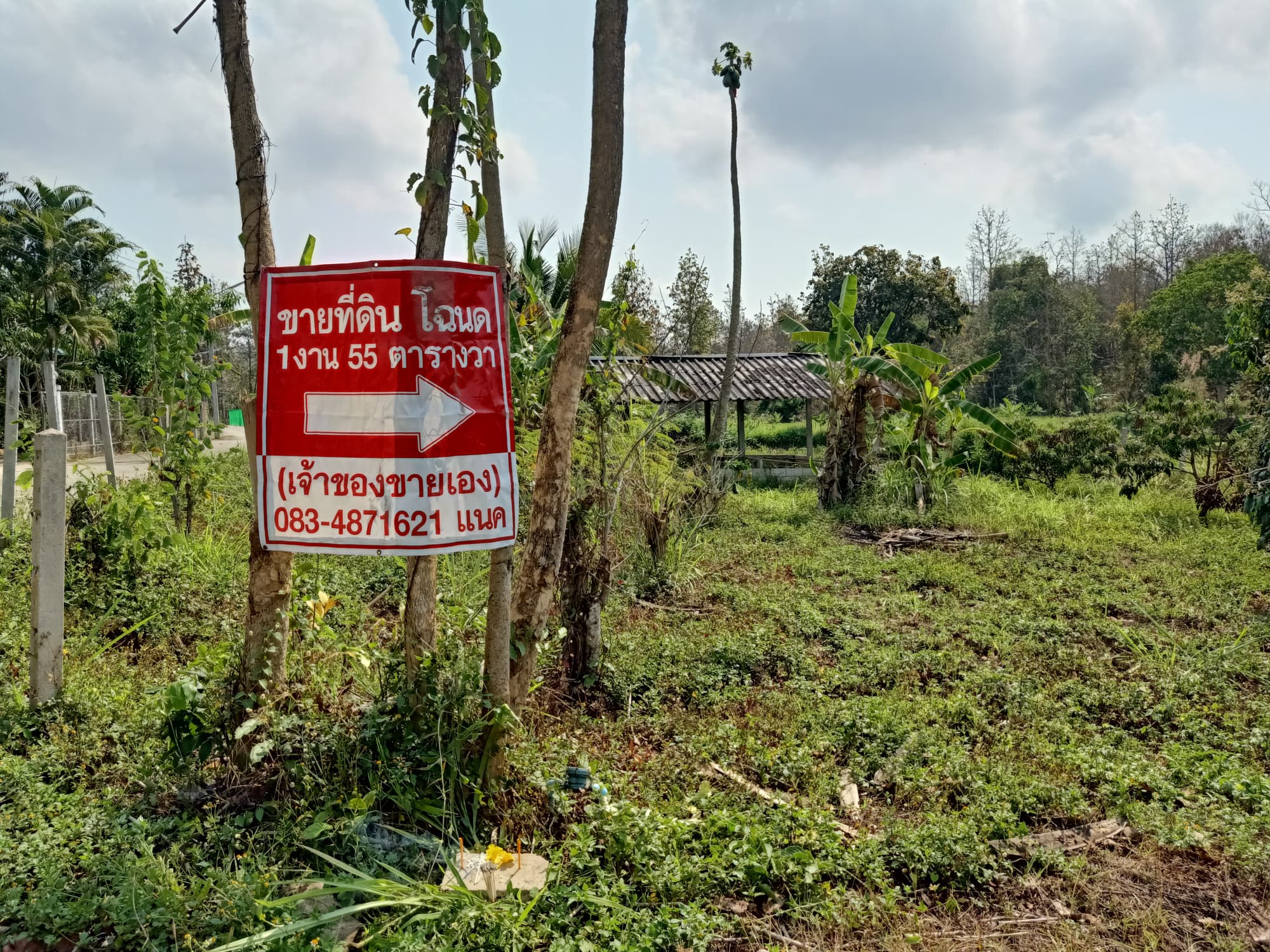 ที่ดินเปล่า แม่ริม จ.เชียงใหม่ 0-1-50 