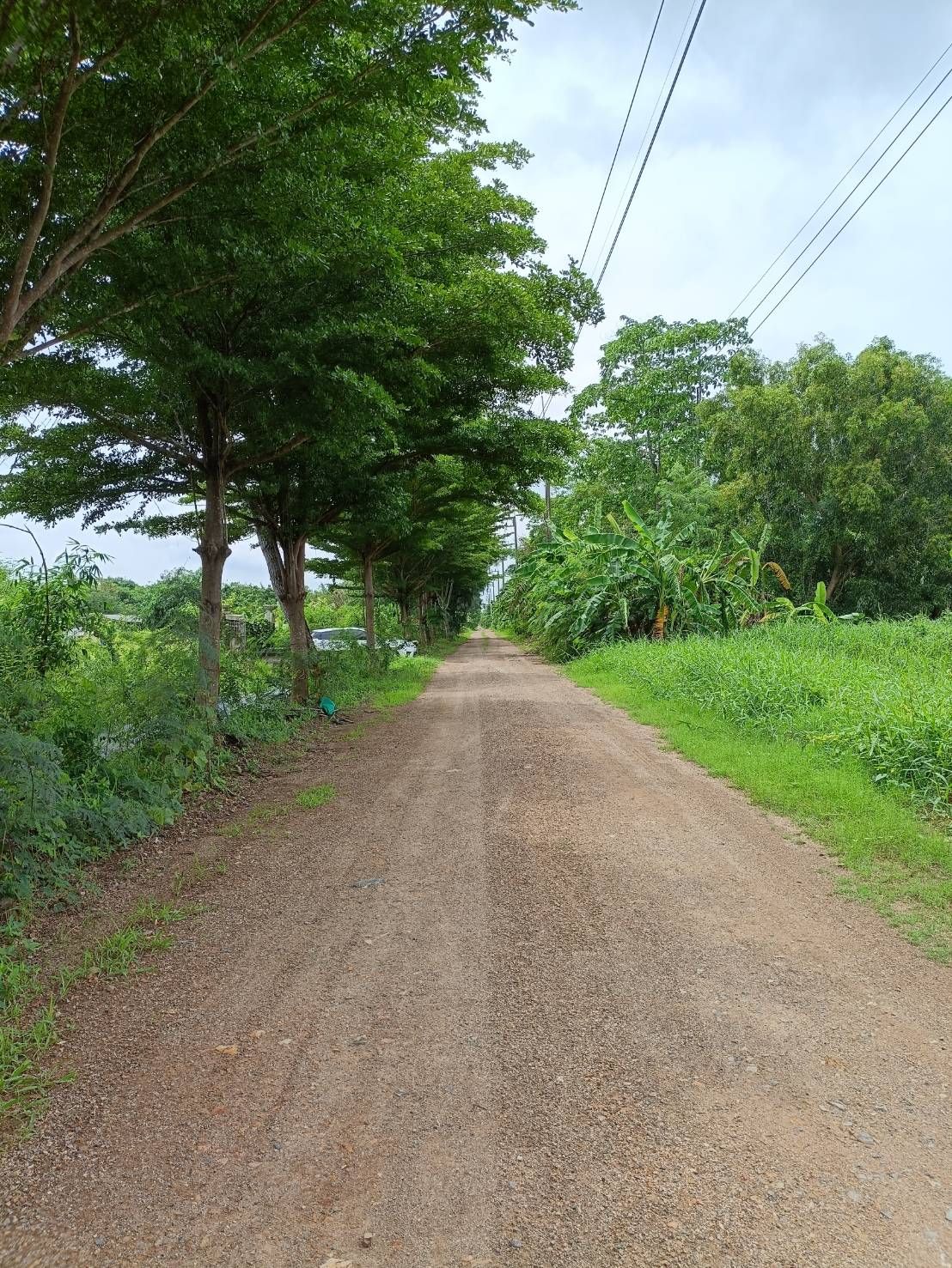 ขายที่ดินปทุมธานี อำเภอคลองหลวง ที่ทำสวน 4 ไร่ น้ำ ไฟ เข้าถึง มีบ้านเลขที่ (เดิมเคยสร้างบ้านอยู่อาศัย)