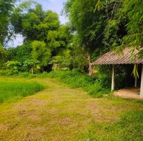 ที่ดินแปลงสวย เชียงราย 6-1-19