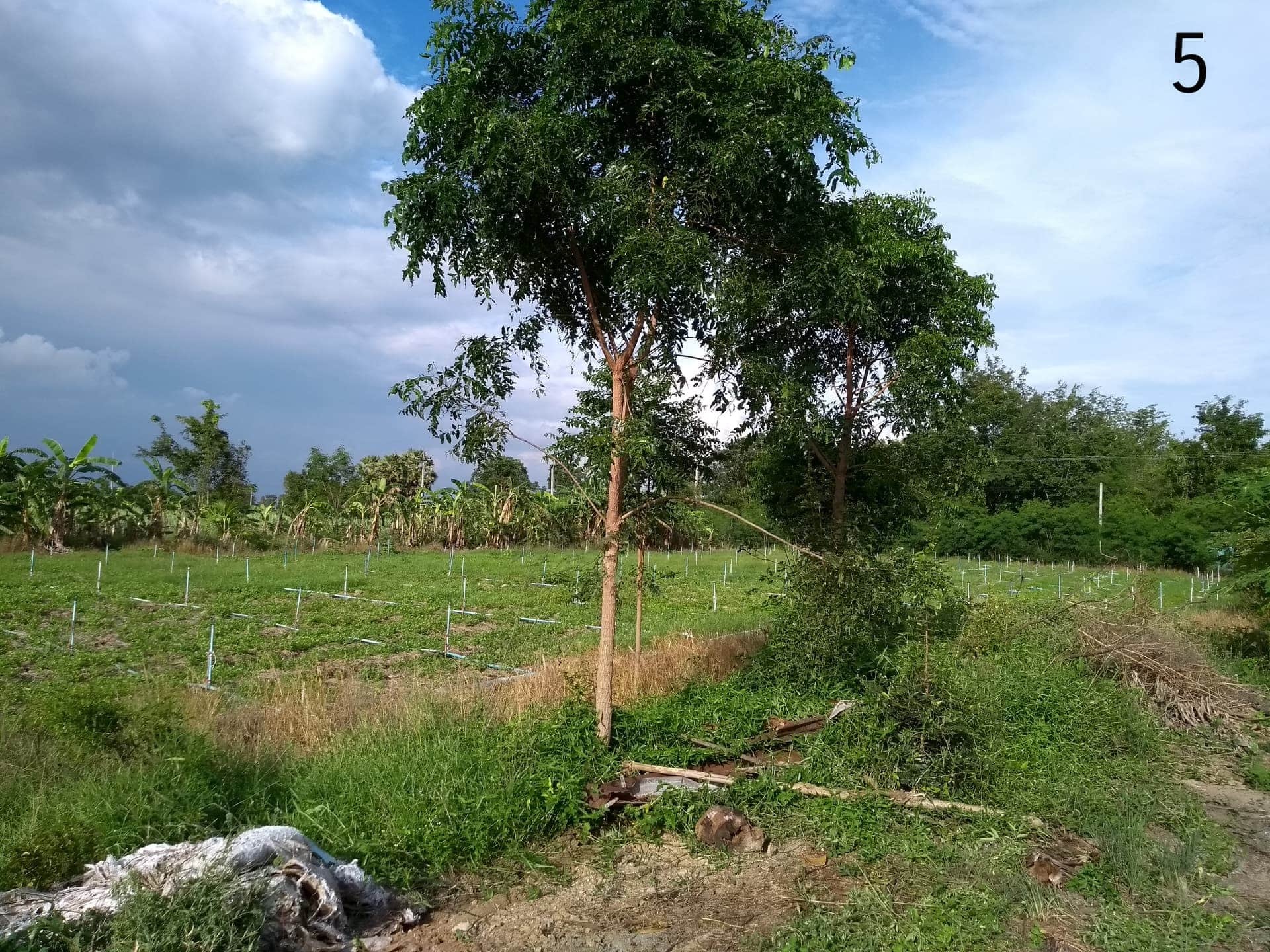 ขายด่วยที่ดินพร้อมบ้านพัก กาญจนบุรี 33-2-88 ไร่