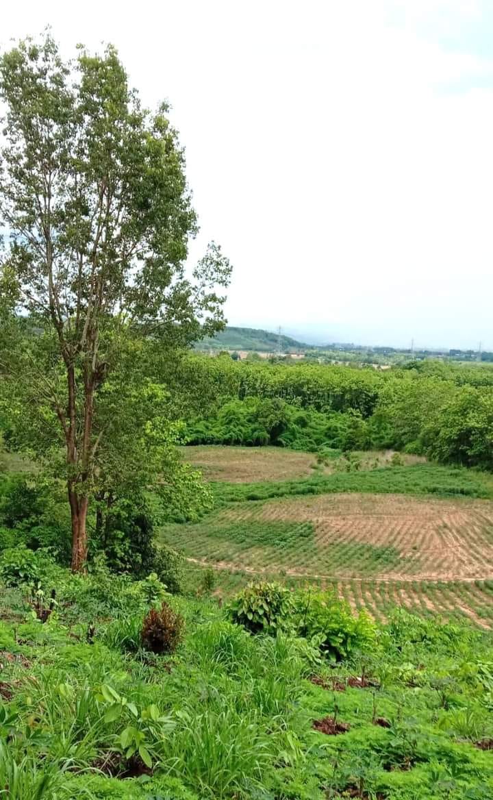 ที่ดินแปลงใหญ่​ น่าน 69-1-64