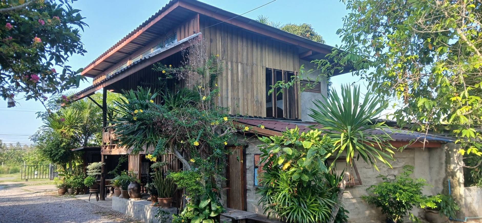 ขายบ้านที่ดินพร้อมโฮมสเตย์