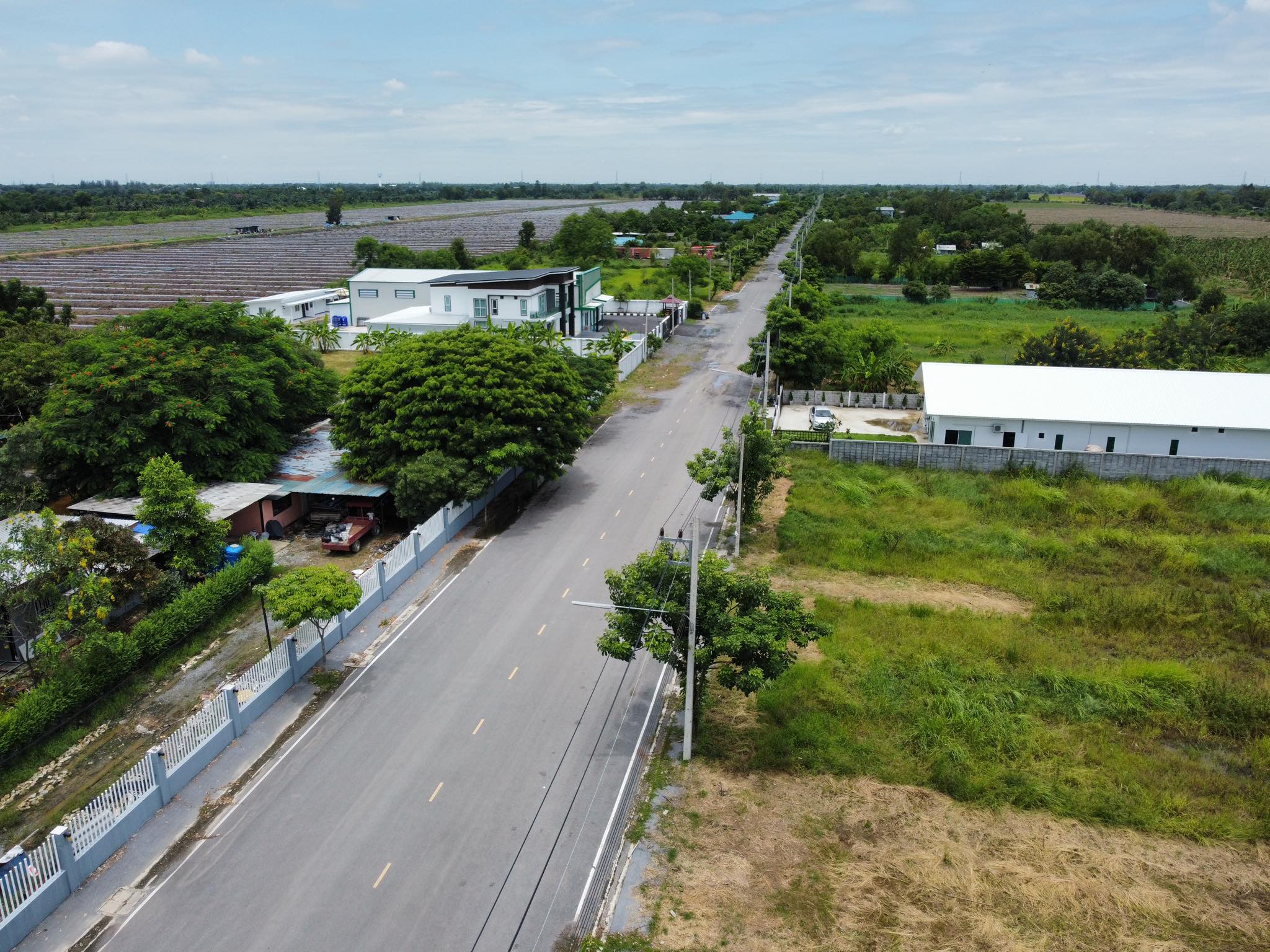 ขายที่ดินปทุมธานี หนองเสือ 0-2-81.9