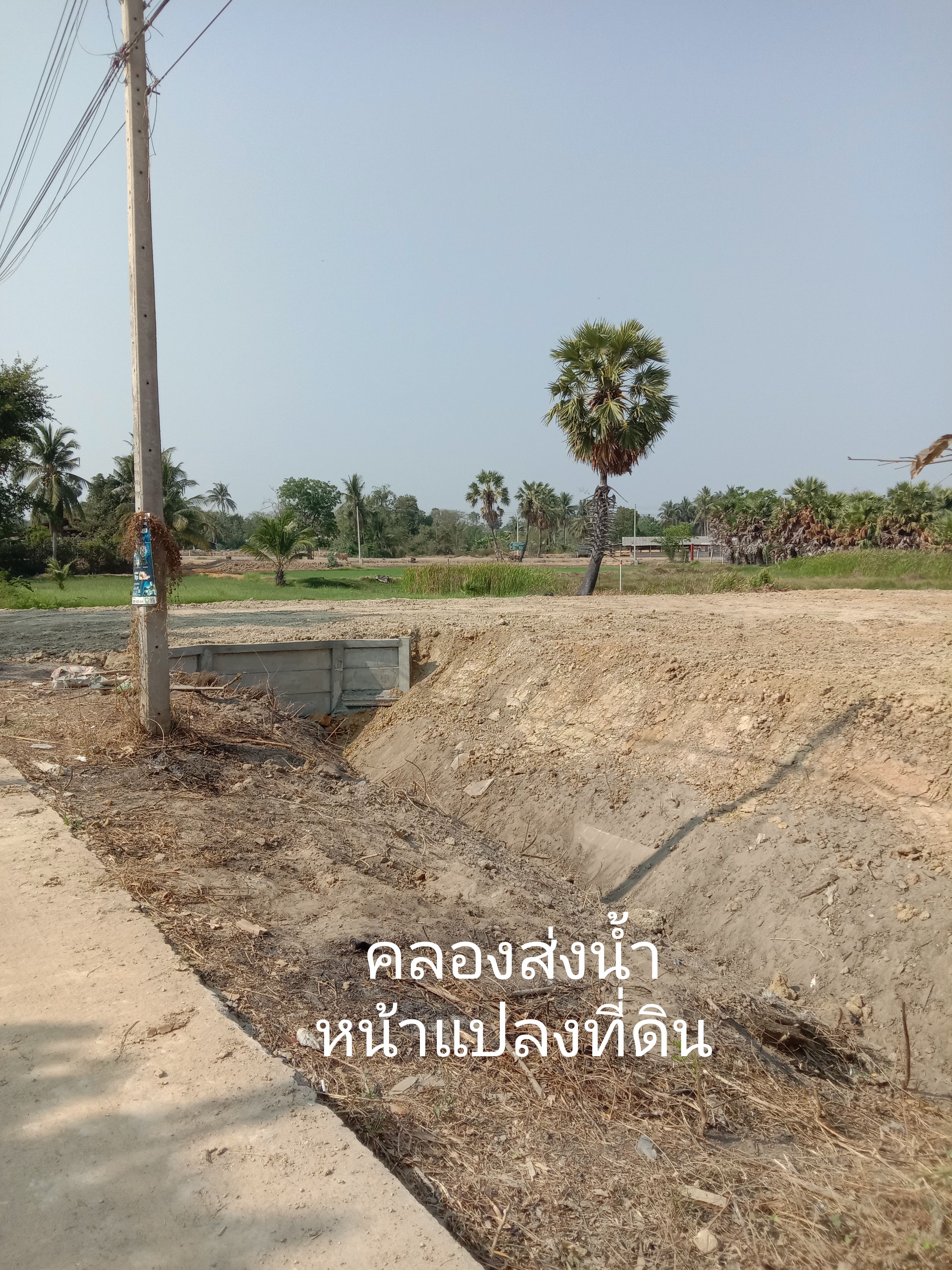 ขายที่ดินเมืองเพชรบุรี 1 ไร่