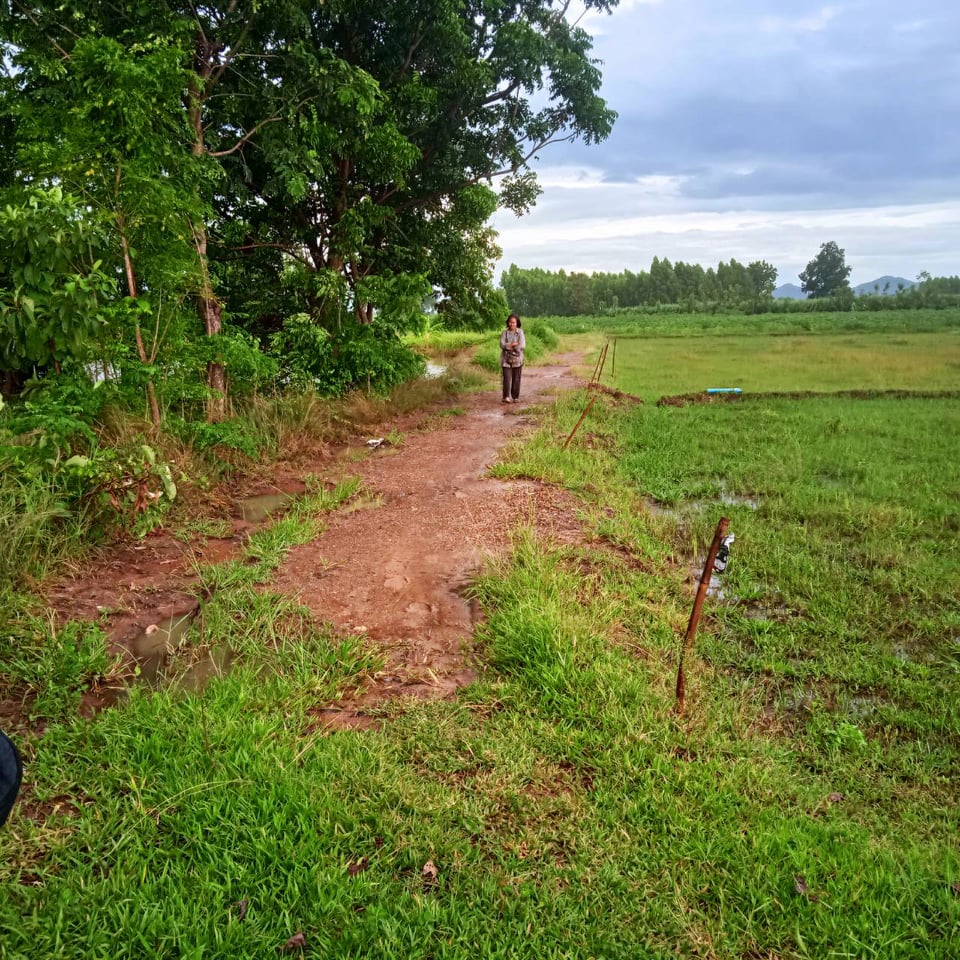 ที่ดินเปล่าแบ่งขาย หนองมะโมง ชัยนาท 19-0-0
