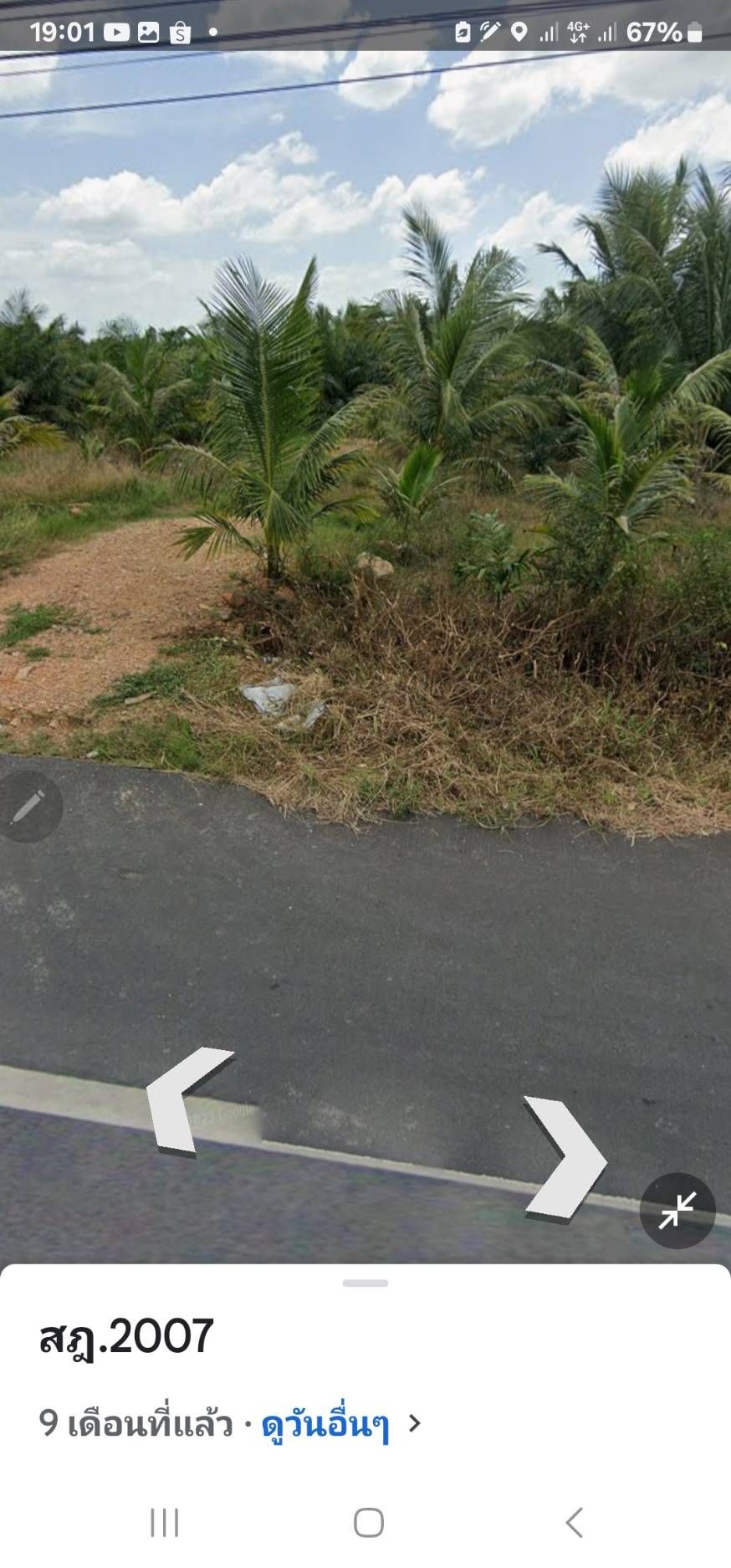 ขายที่ดินเปล่า ตัดแบ่งขาย 3 ไร่ เลือกตามชอบ อ.พุนพิน จ.สุราษฎร์ธานี