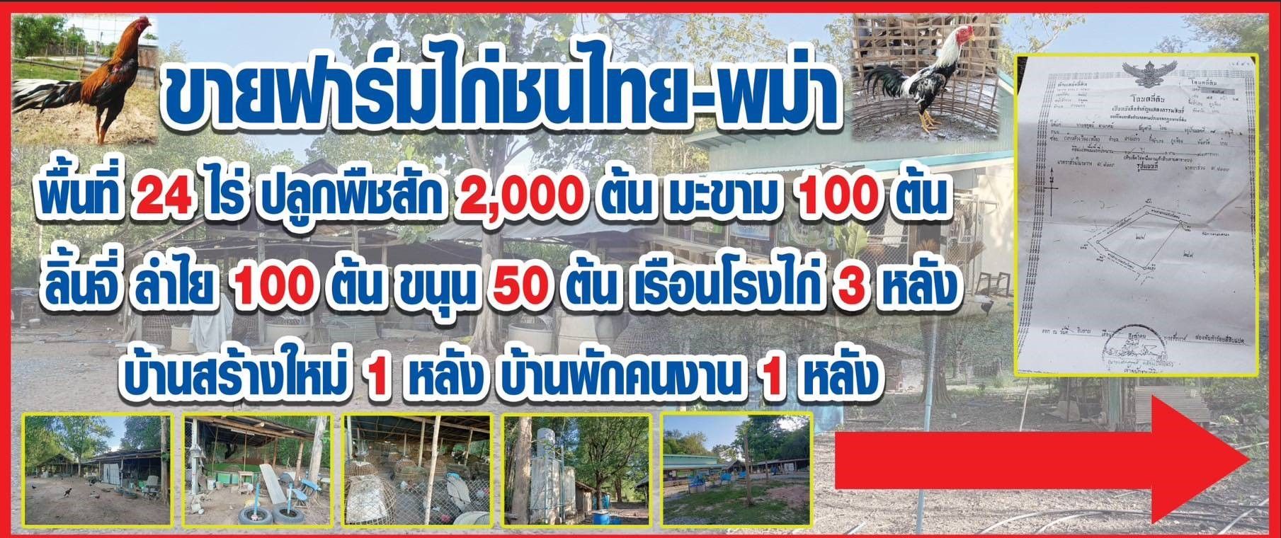 ขายที่ดินน่าน แปลงสวย ทำเลงาม บรรยากาศเยี่ยม น่าลงทุนมาก ภูเพียง น่าน 24-0-60 ไร่.