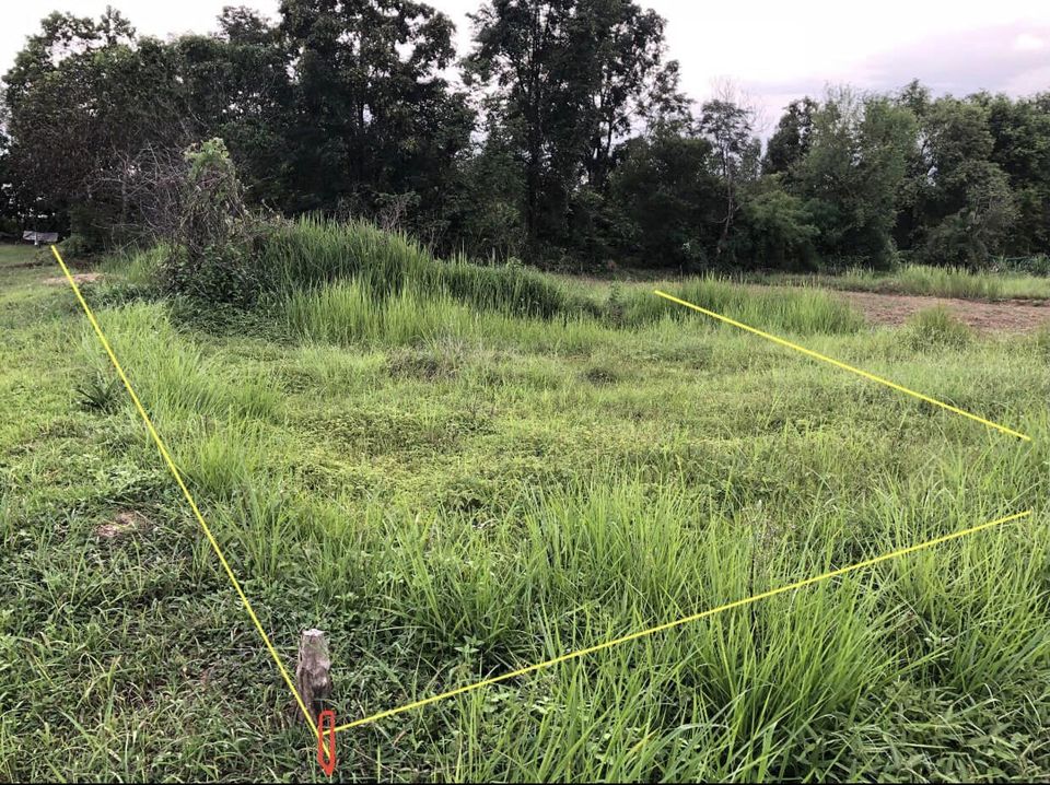 ขานที่ดิน อุดรธานี 1-1-19 ไร่