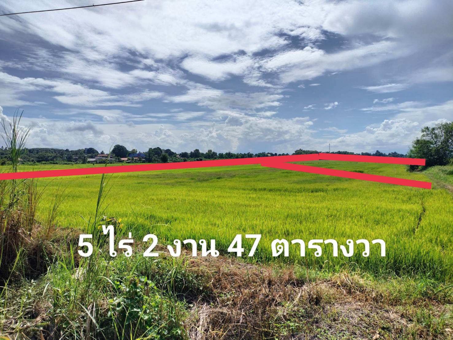 ขายที่ดิน อ.เวียงชัย จ.เชียงราย 5-2-47