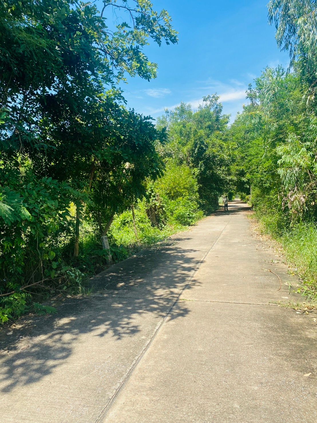 ขายที่ดินด่วน จังหวัดพิจิตร อำเภอตะพานหิน