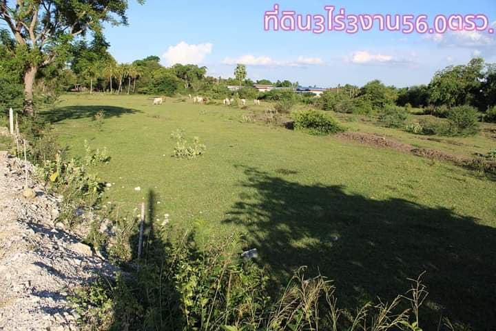 ขายที่ดินเปล่า แปลงสวย ติดทางสาธารณะ อ.เมืองนครสวรรค์ จ.นครสวรรค์ 3-3-56 ไร่