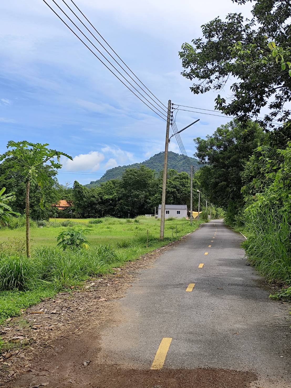 📍ขายที่ดินวิวเขานครนายก🌳เขาพระ 4ไร่เต็ม ถนนสาธารณะ 2 ด้าน เดินทางสะดวกจากกทม.เพียง 1.30 นาที